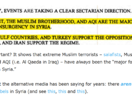 A screenshot of a text discussing Muslim Brotherhood and sectarianism in Syria.