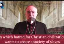 Archbishop Vigano on NWO Evil