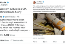 Eva Bartlett on CIA-funded War Propaganda