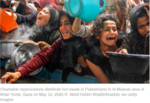 Aid as ambush: The horrifying new face of Israel’s Gaza war/ By Eva Bartlett