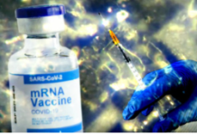 BREAKING: We’ve Obtained Data That Could Decommission mRNA Once and for All/By Nicolas Hulscher