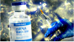 Screenshot 2025-10-31 115923