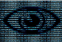 Cash Control, Lockdown, CBDC, Digital ID, Biometrics? Whitney Webb’s Extraordinary Geopolitical Analysis/By Peter Koenig and Whitney Webb