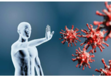 BREAKING: Peer Reviewed Report. 86% of PCR-Positive “COVID Cases” Were Not Real Infections/By Nicolas Hulscher and Prof Michel Chossudovsky