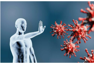 Screenshot 2025-11-09 112056