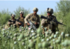 Afghanistan’s Opium Collapse Exposing 40 years of US Intelligence Complicity/By Uriel Araujo