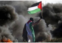 The Gaza Massacre – A New Dimension/ By Peter Koenig
