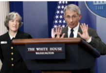 SMOKING GUN: The Big Covid Lie. Anthony Fauci Admits: “May Turn Out to be Like a Bad Flu Season”./By Prof Michel Chossudovsky