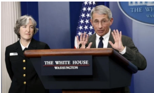 Screenshot 2025-12-08 235536