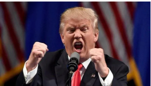 Screenshot 2025-12-18 104550