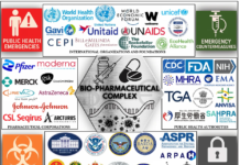 BREAKING: Our CENSORED Study Showing mRNA Injections Induce Severe Genetic Disruption Linked to Cancer and Chronic Disease Is Now Peer-Reviewed and Published/by Nicolas Hulscher, MPH