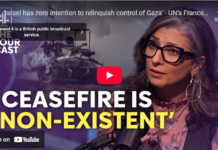 Video: ‘Israel has zero intention to relinquish control of Gaza’ – UN’s Francesca Albanese