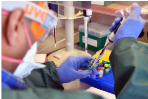 Screenshot 2026-02-22 121012