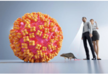 Video: Worldwide Fear Campaign: The “Dangerous” Hantavirus Pandemic/By Prof Michel Chossudovsky and Drago Bosnic