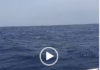 Fra Hughes Reporting from Global Samud Flotilla