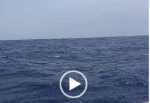 Fra Hughes Reporting from Global Samud Flotilla