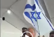 Zionists Abduct and Torture Freedom Flotilla Activists