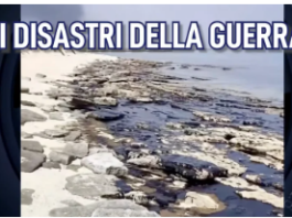 The Disasters of War/Pangea – Wide angle