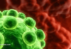 BREAKING: Largest Human Cancer Study of Ivermectin and Mebendazole Is Now Peer-Reviewed and Published in a Major Cancer Journal/By Nicolas Hulscher