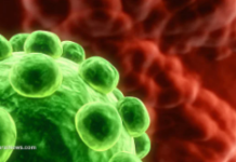 BREAKING: Largest Human Cancer Study of Ivermectin and Mebendazole Is Now Peer-Reviewed and Published in a Major Cancer Journal/By Nicolas Hulscher