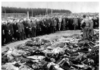 Is History “Bunk”? “Big Business and Hitler”/By Dr. Jacques R. Pauwels