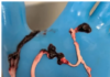 Breaking: International Study Finds 75% of Embalmers Observed White Fibrous Clots in Corpses/By Nicolas Hulscher