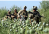 “Empire of Drugs”: Taliban’s Eradication of Opium Reveals Harsh Reality of U.S. Occupation of Afghanistan
