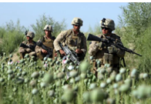 “Empire of Drugs”: Taliban’s Eradication of Opium Reveals Harsh Reality of U.S. Occupation of Afghanistan