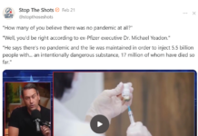 There Was No Pandemic/Dr. Michael Yeadon