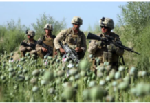 Americaās Failed Opium War against Afghanistan, October 2001. 21 Years Later: A Second Ban on Opium Cultivation/By Prof Michel Chossudovsky and Charlotte Greenfield