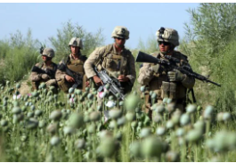 America’s Failed Opium War against Afghanistan, October 2001. 21 Years Later: A Second Ban on Opium Cultivation/By Prof Michel Chossudovsky and Charlotte Greenfield